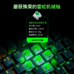 RAZER雷蛇 黑寡妇蜘蛛V4PRO有线机械键盘 绿轴 黑色